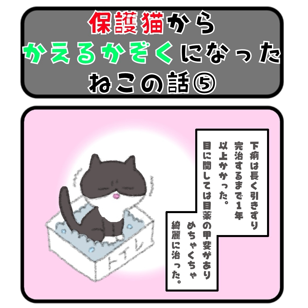 保護猫からかえるかぞくになったねこの話⑤